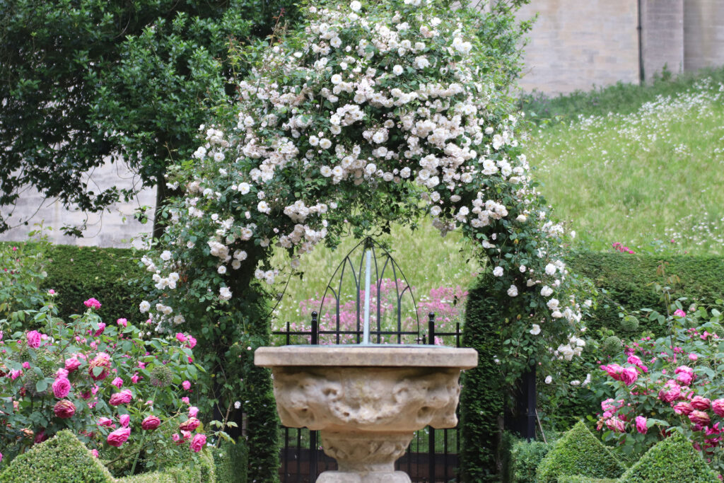 Adelaide d'Orleans Rose Archway at Arundel Castle