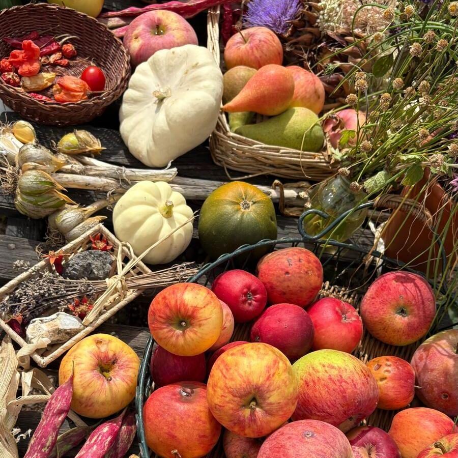 harvest