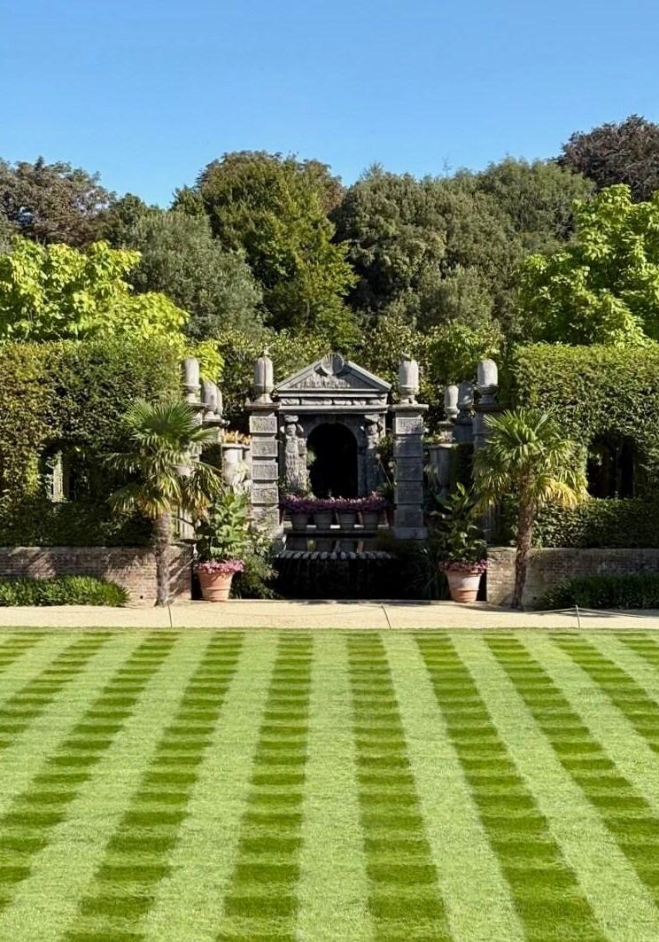 lawn