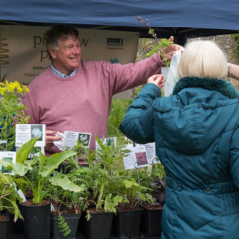 Plant fair